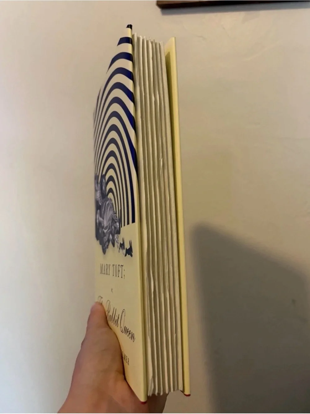 Mary Toft: The Rabbit Queen Hardcover Book - Yellow & Black